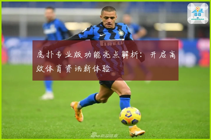 虎扑专业版功能亮点解析：开启高效体育资讯新体验