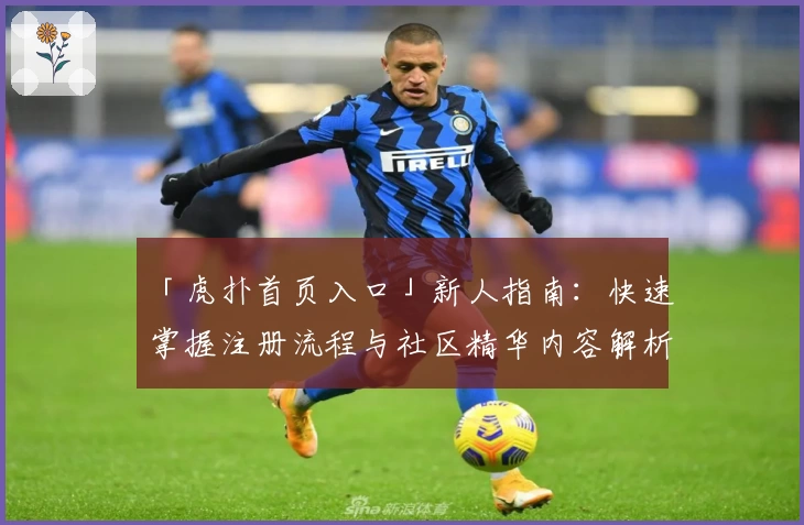 「虎扑首页入口」新人指南：快速掌握注册流程与社区精华内容解析