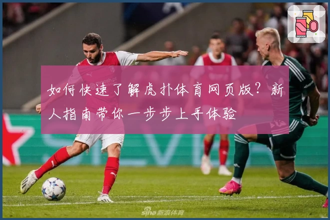 如何快速了解虎扑体育网页版？新人指南带你一步步上手体验