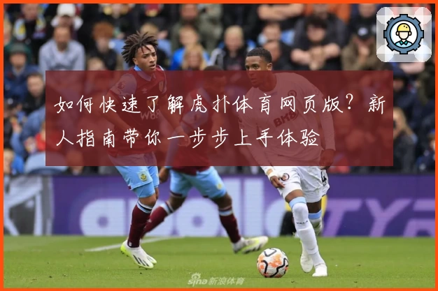 如何快速了解虎扑体育网页版？新人指南带你一步步上手体验