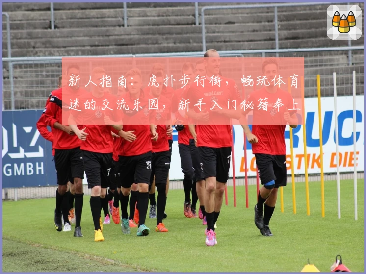 新人指南：虎扑步行街，畅玩体育迷的交流乐园，新手入门秘籍奉上
