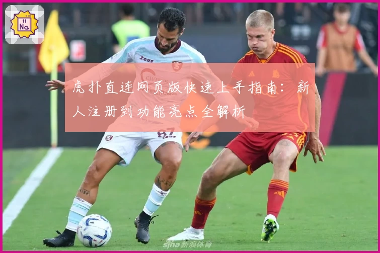 虎扑直连网页版快速上手指南：新人注册到功能亮点全解析